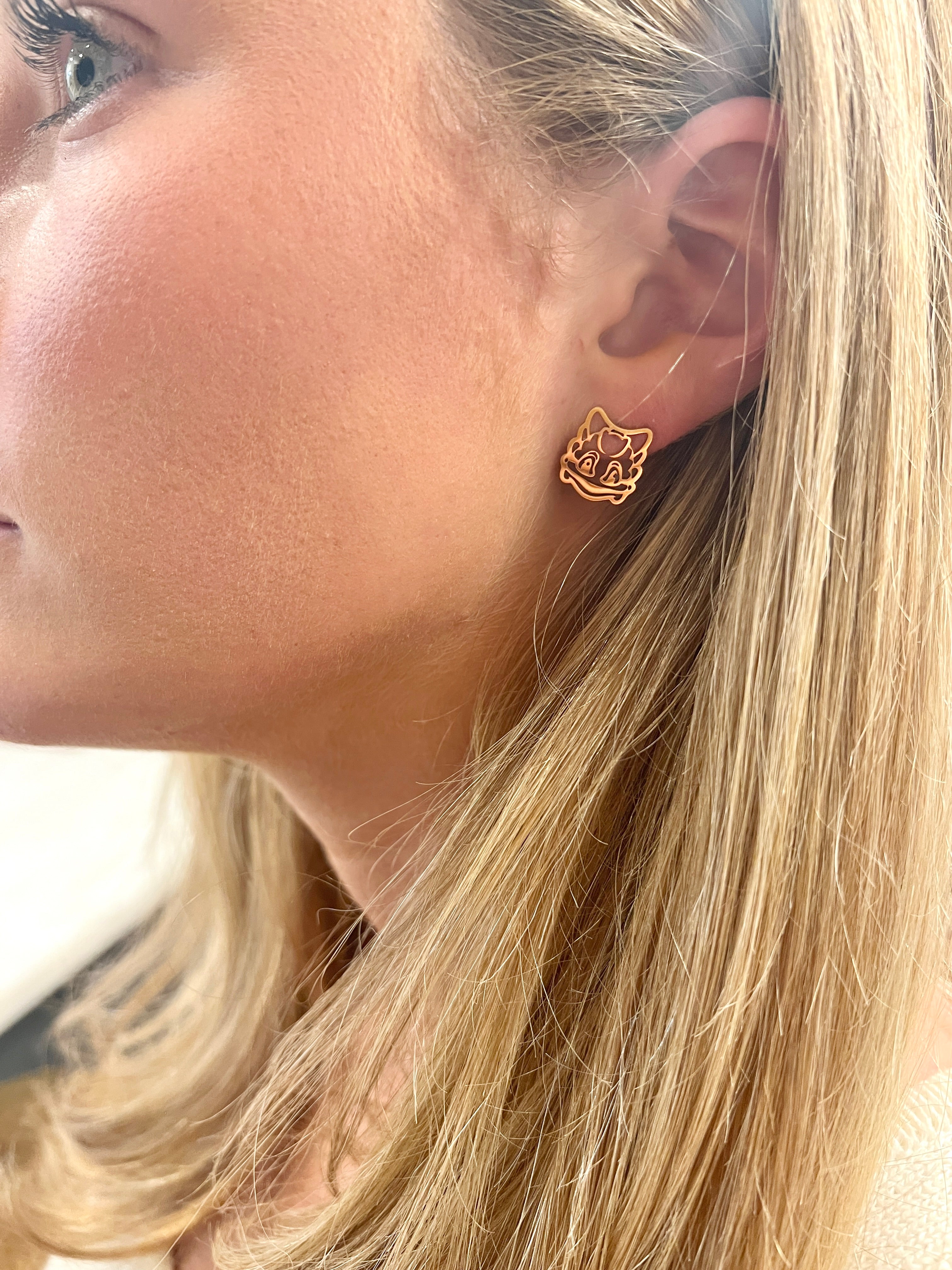 TCU Horned Frogs Stud Earrings TCU Gift Gameday Earrings