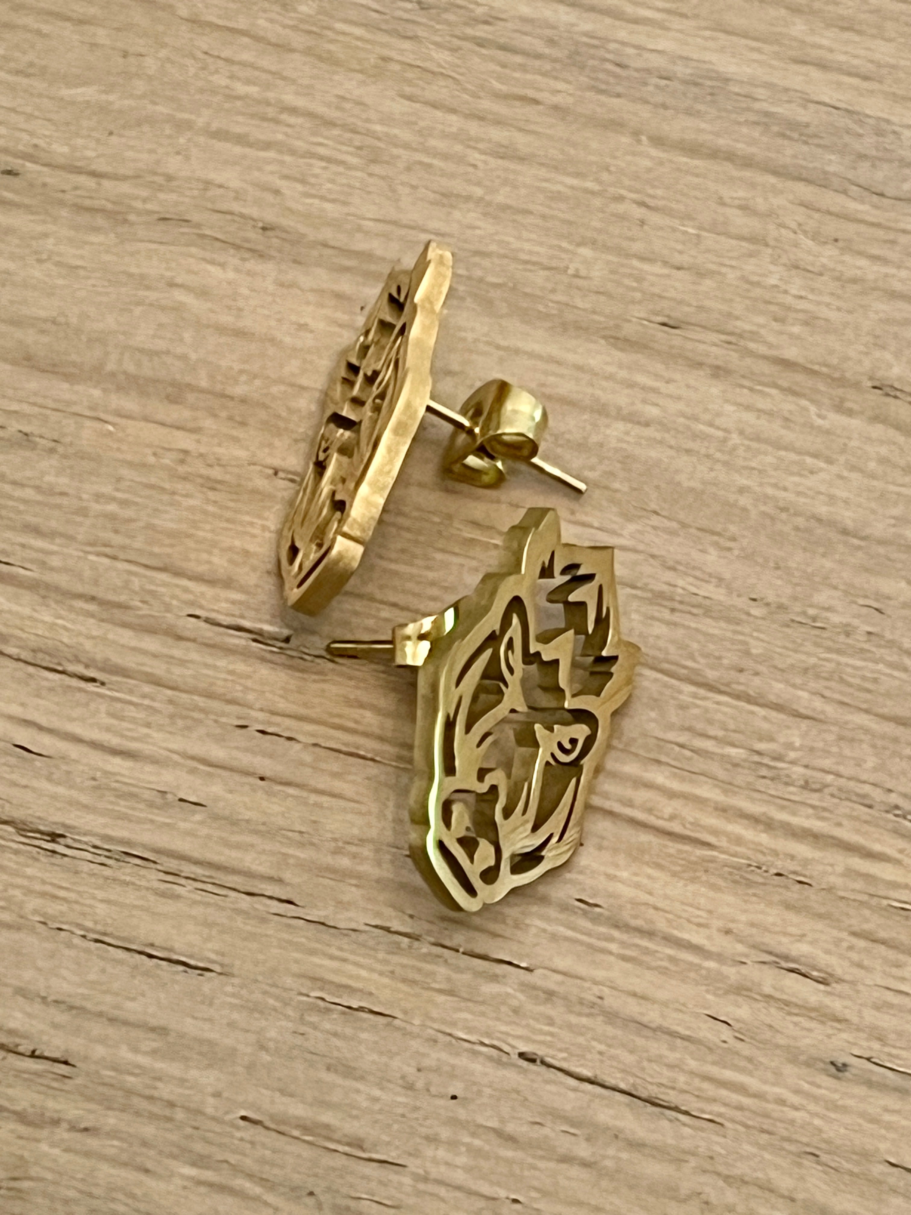 NEW! Arkansas Razorbacks Logo Stud Earrings Hypoallergenic Earrings Go Hogs!