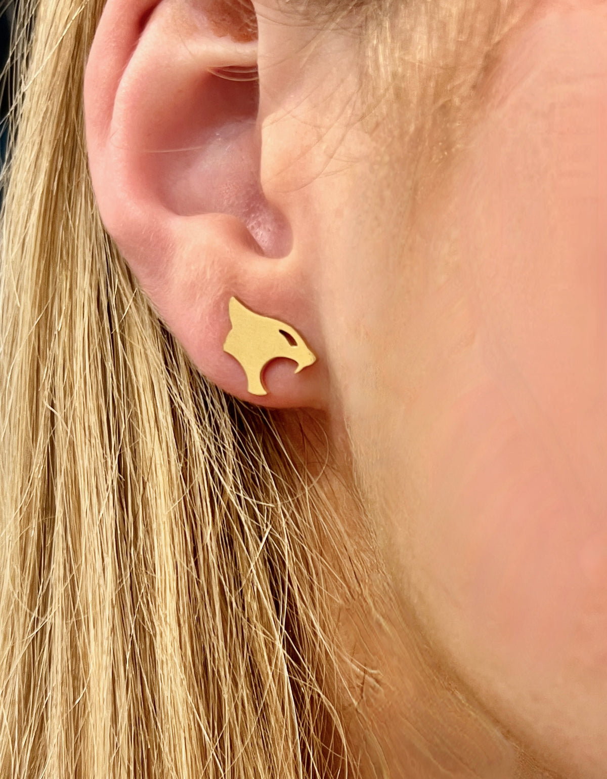 Go Cats! Wildcats earrings, Graduation Gift, Wildcats Basketball, Kentucky Wildcats, Kansas State Wildcat, Wildcats Gift, Cats Team Mom Gift