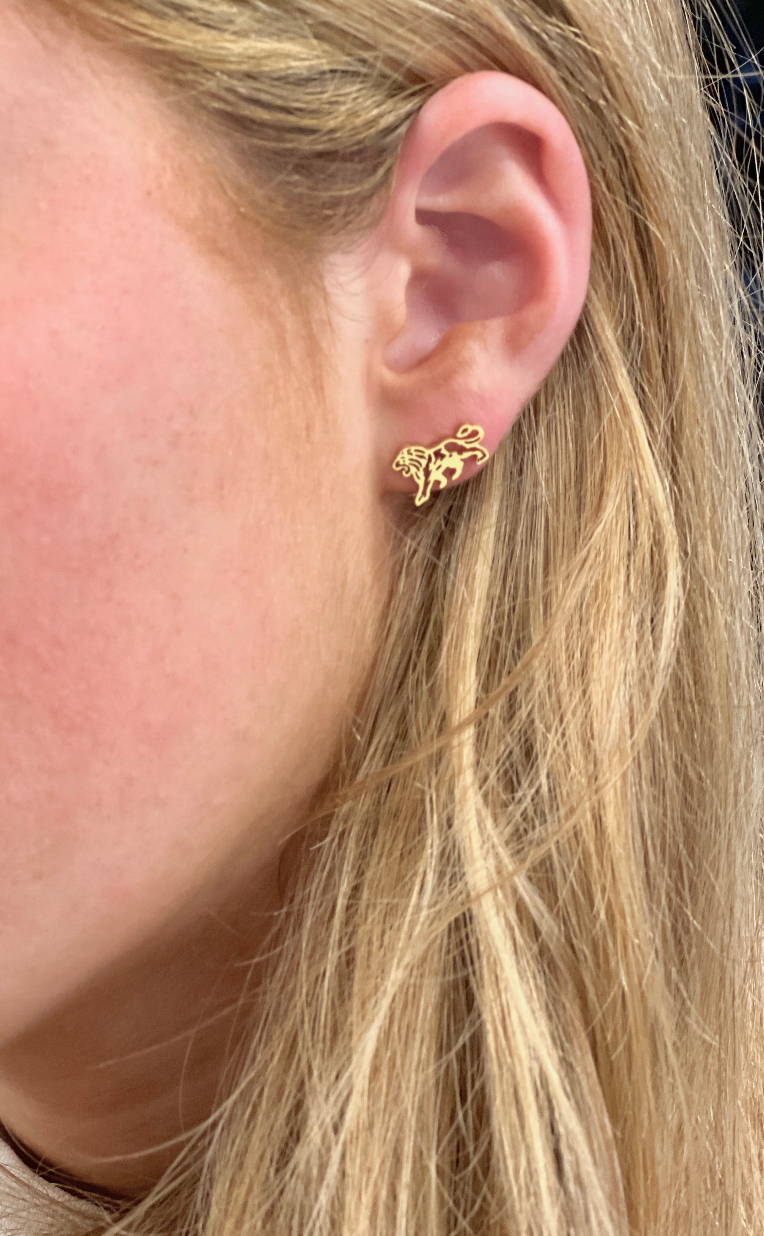 Go Lions! Lion Gold Stud earrings, Lion Gift, Lions Baseball, Lions Football, Lions Team Mom Gift