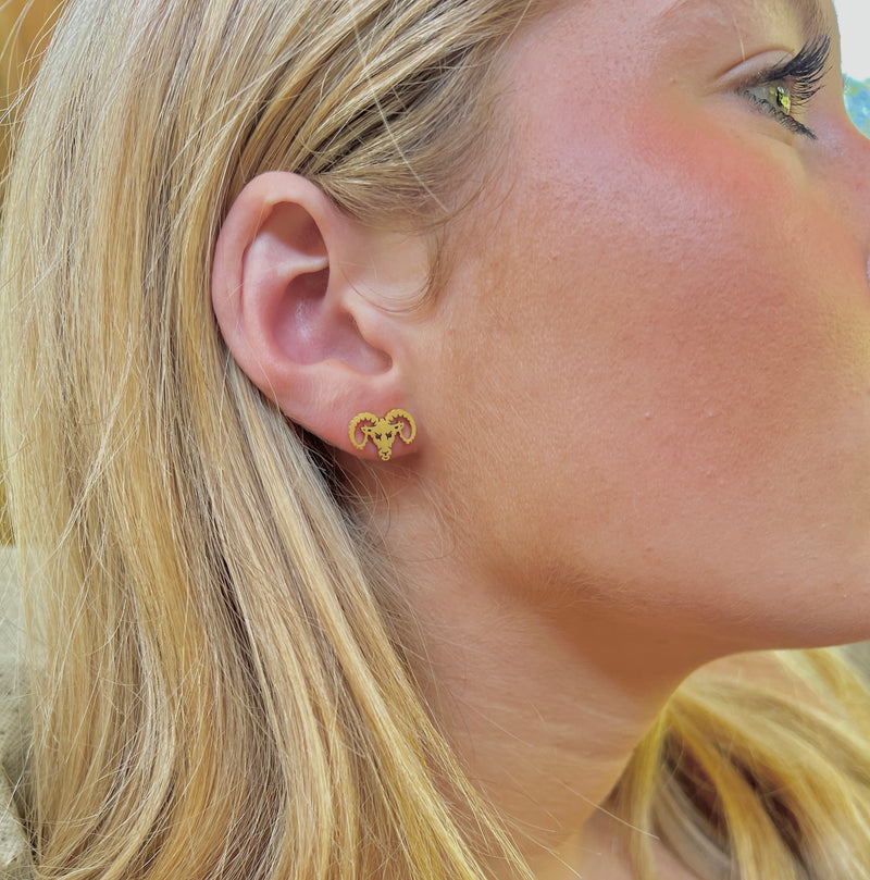 Go Rams! Cute Ram Earrings, Rams Gift, Rams Spiritwear Gold Stud Earrings Stainless Steel Hypoallergenic