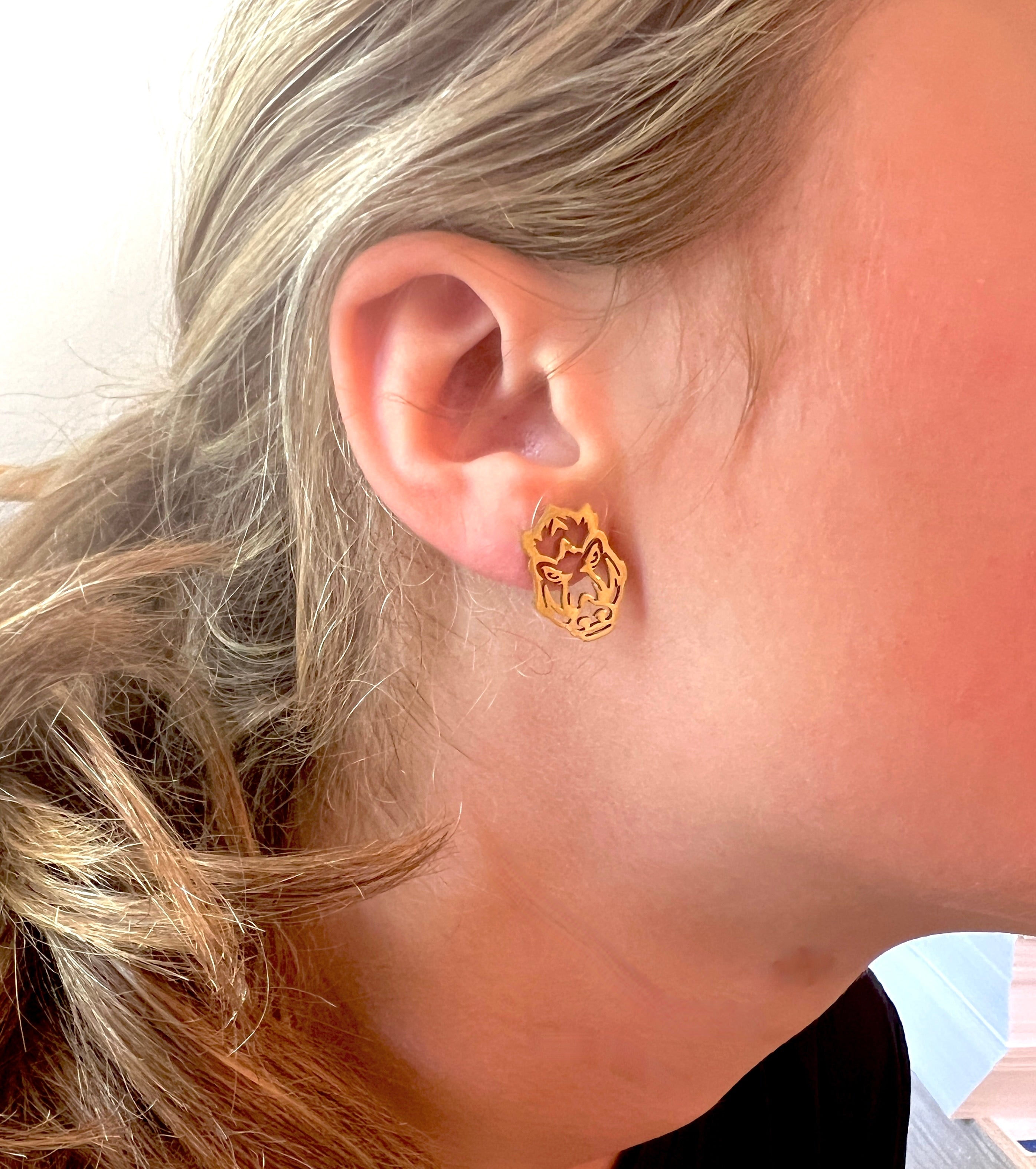 Arkansas Gift Set Hypoallergenic Earrings Go Hogs GameDay Razorbacks Earrings Wooo Pig Earrings Gift Set for Arkansas Fans Hogs GameDay