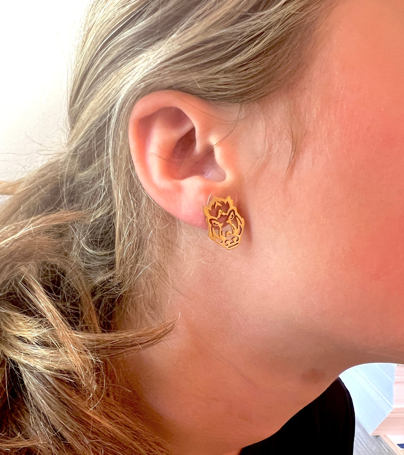 Arkansas Gift Set Hypoallergenic Earrings Go Hogs GameDay Razorbacks Earrings Wooo Pig Earrings Gift Set for Arkansas Fans Hogs GameDay