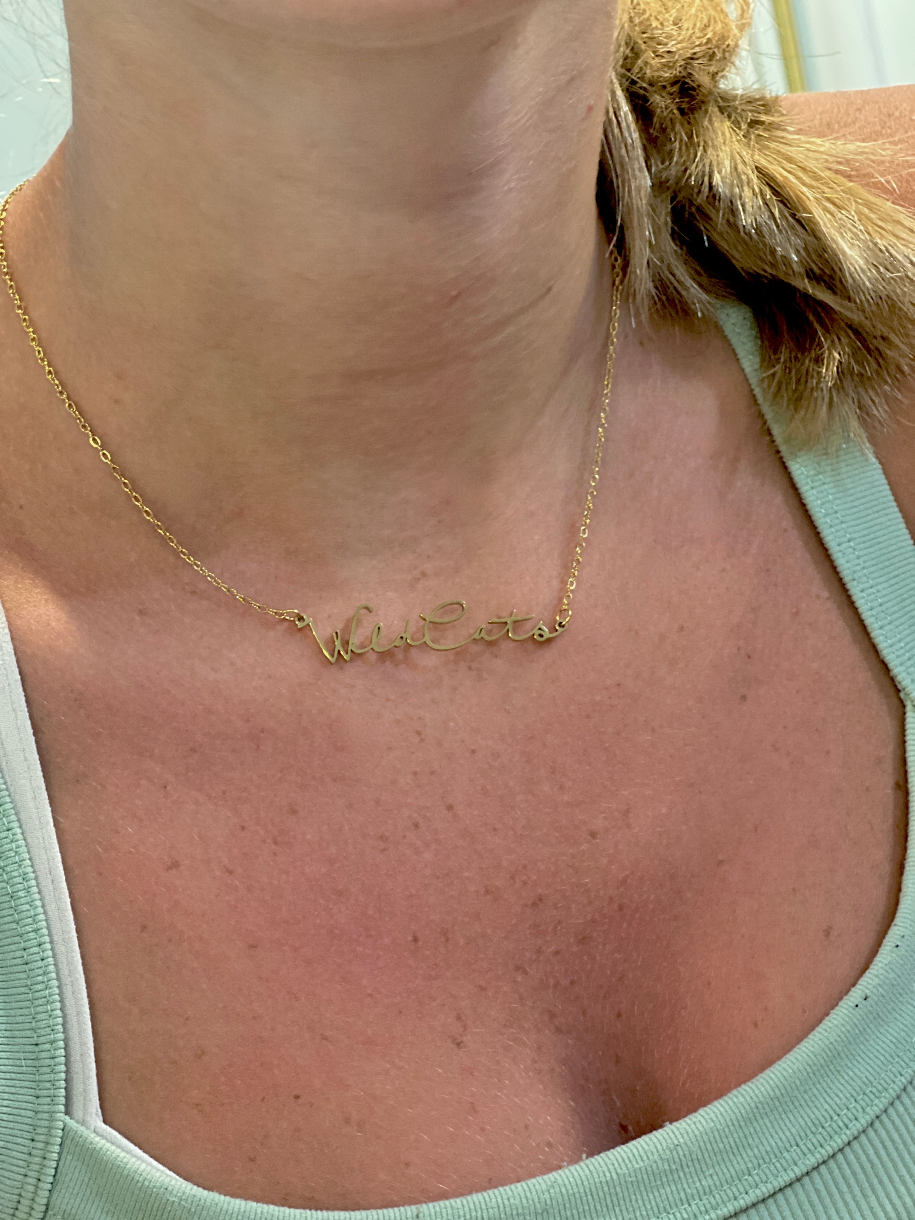 WildCats Game Day Necklace Gift for WildCats Fan Tarnish Resistant Hypoallergenic Stainless Steel WildCats Football