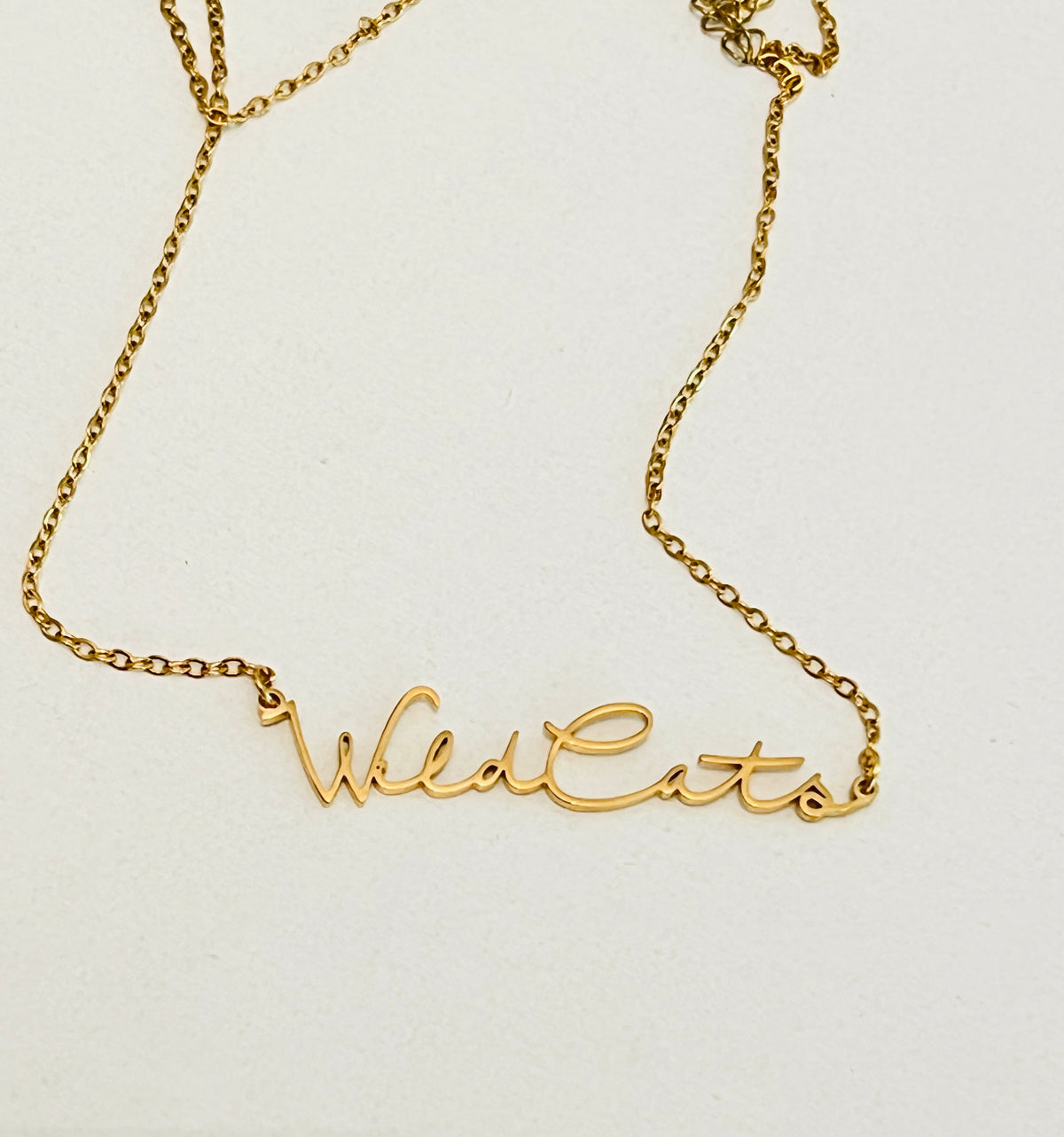 WildCats Game Day Necklace Gift for WildCats Fan Tarnish Resistant Hypoallergenic Stainless Steel WildCats Football