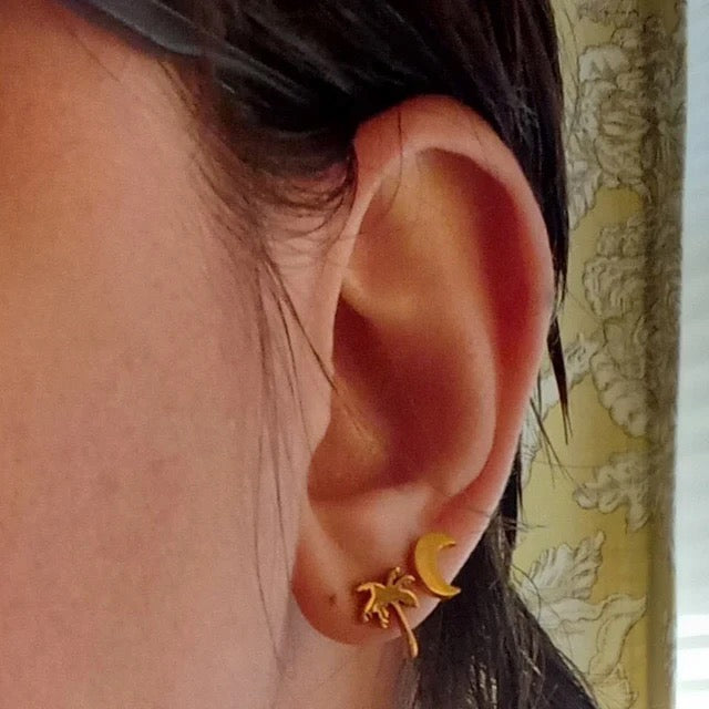 South Carolina Earrings Moon and Palm Tree - Gold Stud Earrings - Hypoallergenic - South Carolina Gift